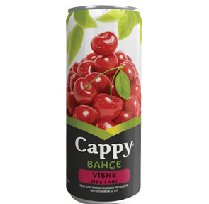 Cappy Vişne Suyu 330 Ml