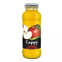 CAPPY %100 ELMA SUYU 250 ML SISE