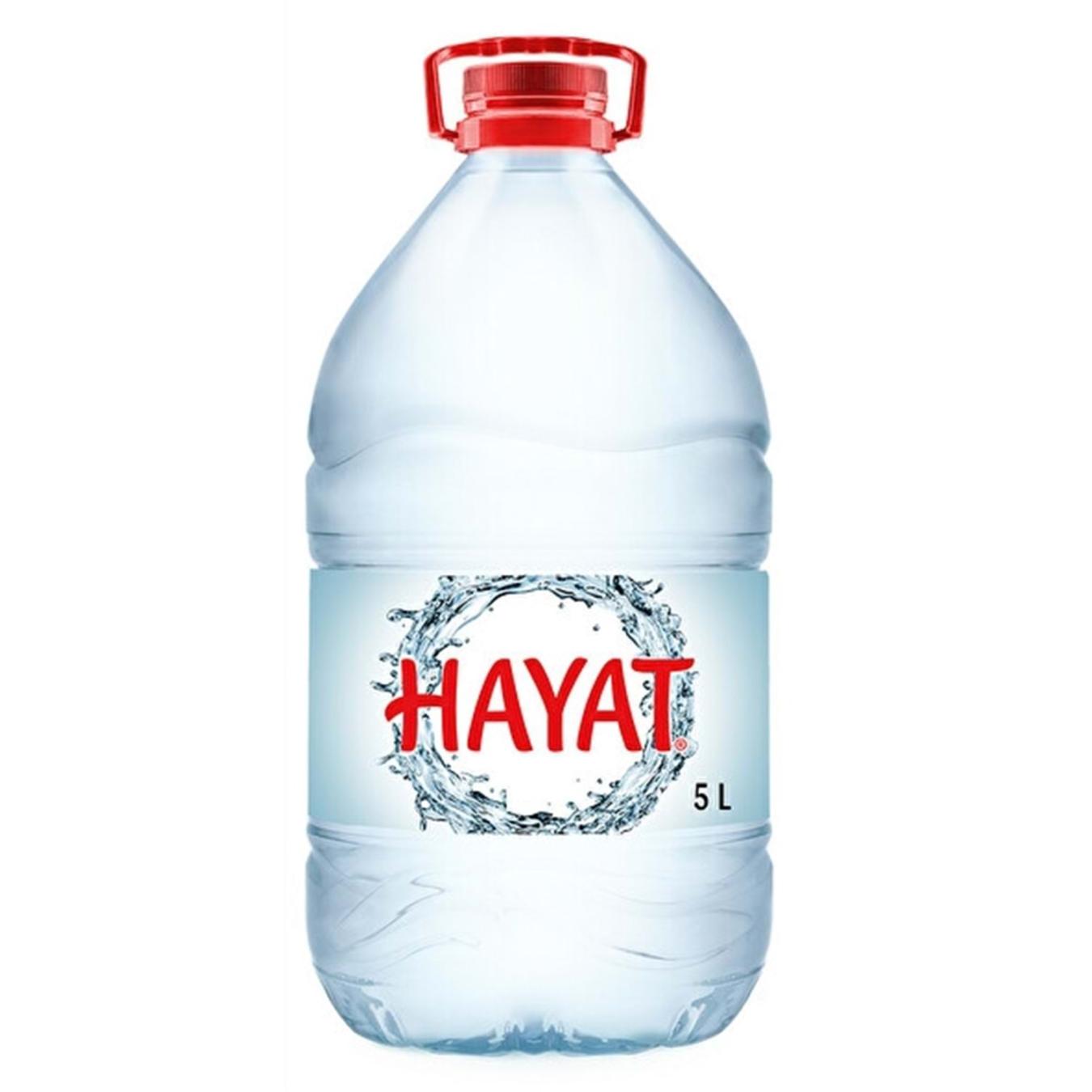 Hayat Doğal Mineralli Su 5 Lt