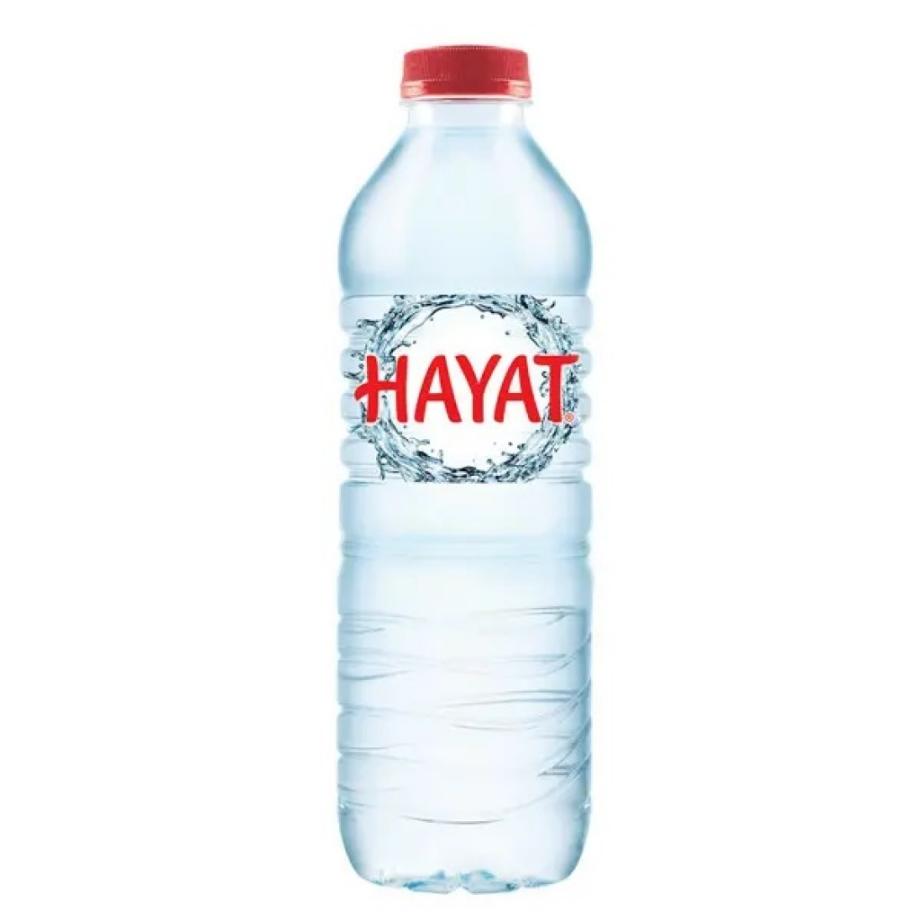 Hayat Doğal Mineralli Su 0,5 Lt