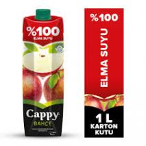 CAPPY ELMA SUYU  100 1L