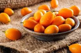 KUMKUAT MEYVESİ (KG) 3731 30085557