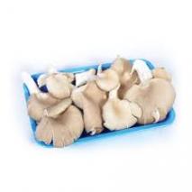 MANTAR YAPRAK (PAKET) 6170
