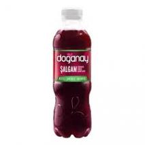 DOGANAY SALGAM 300ML ACISIZ