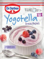 DR.OETKER YOGOTELLA ORMAN MEYVE