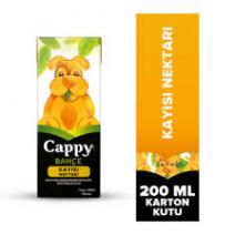 CAPPY NEKTAR 200ML KAYISI