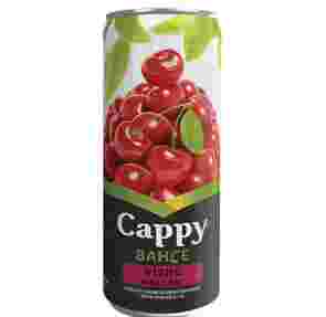 Cappy Vişne Suyu 330 Ml