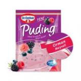 DR.OETKER PUDING ORMAN MEYVELI