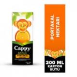CAPPY ICECEK 200ML PORTAKAL