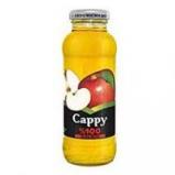 CAPPY %100 ELMA SUYU 250 ML SISE