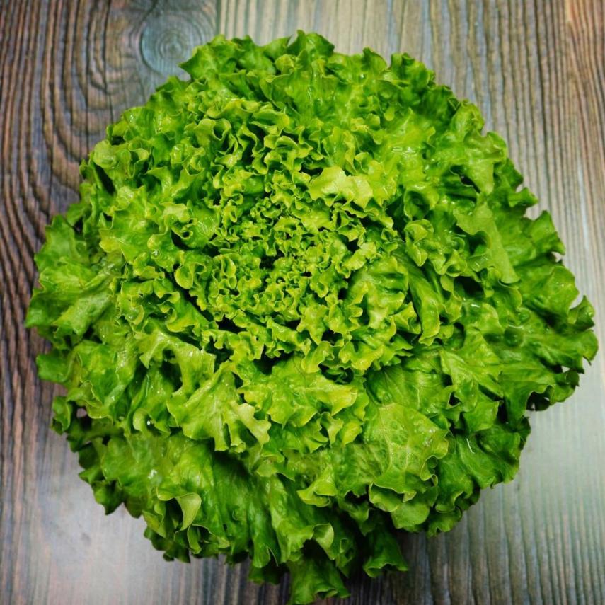 KIVIRCIK MARUL (ADET) 2270