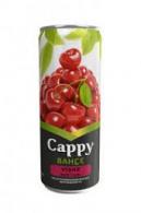 CAPPY 330 ML VISNE TNK.