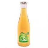 FLAVZ  100 ICECEK 640ML ELMA 2179150000005